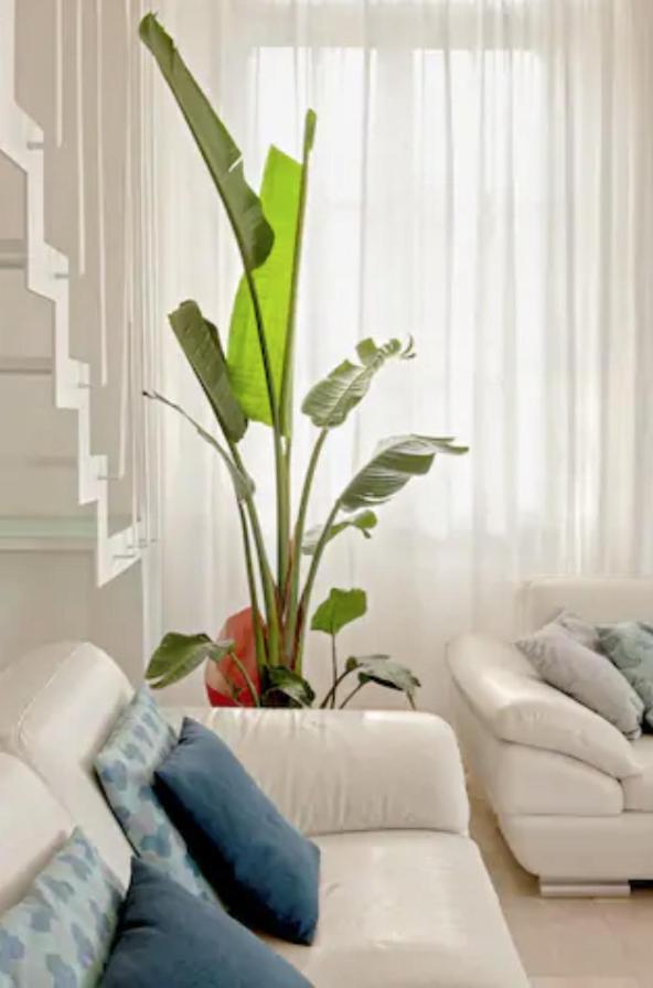 Villa Amazing Sea View Flat Tirrenia Exterior foto